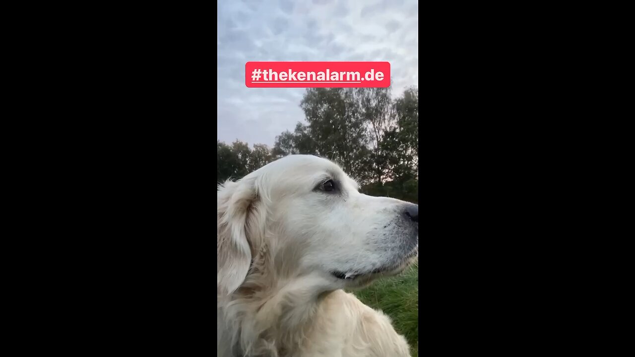 LEGAL, GANZ EGAL