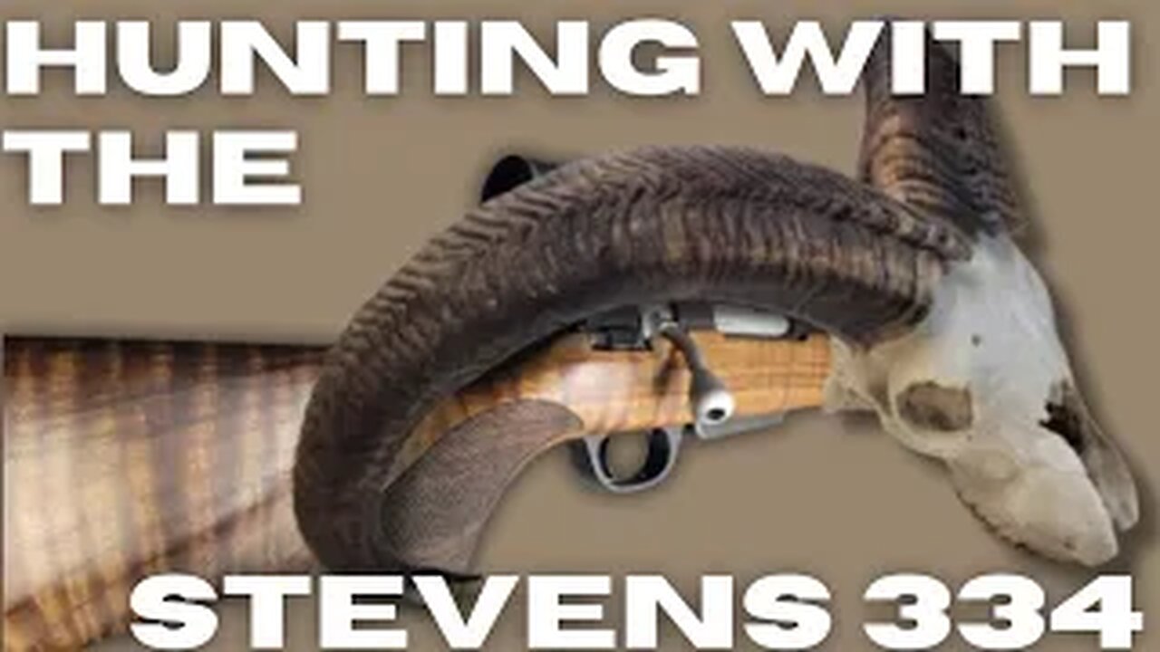 We Hunted with Our Stevens 334