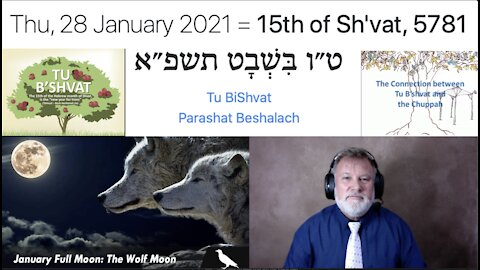 DAY 1335 IS TU B`SHVAT!!! JANUARY 28, 2021