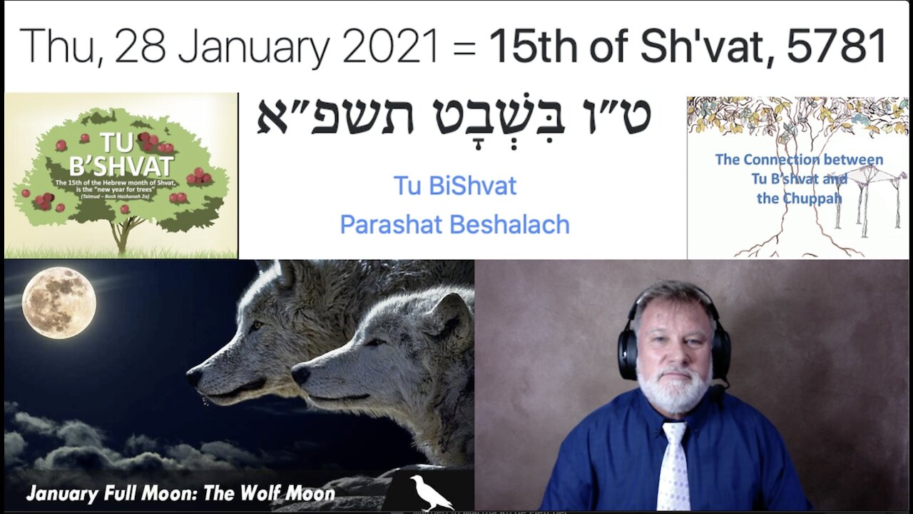 DAY 1335 IS TU B`SHVAT!!! JANUARY 28, 2021