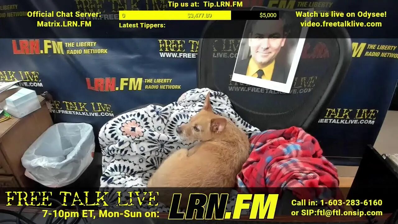 Mark Edge, Live from Bradentucky - Free Talk Live