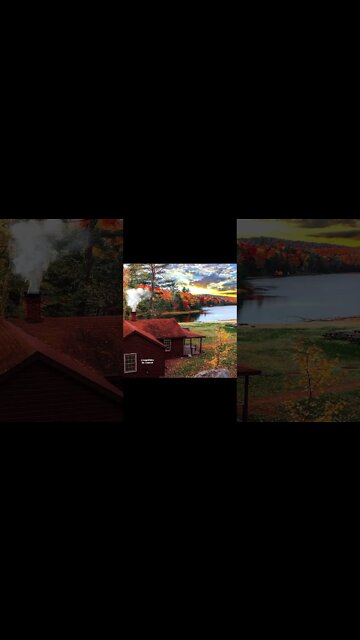 #fall #foliage #getwhatyouwant #relaxingsoundsforstressrelief #autumn #autumnleaves