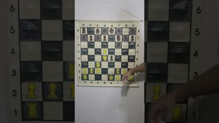 What is the Staunton Gambit in Chess?