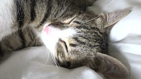 To Sleep or Not to Sleep, This Is the Question