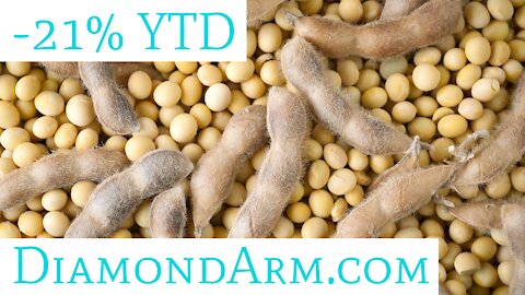 Soybean Meal Futures | Commodities: Grains | ($ZM)