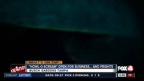 howl o scream interview