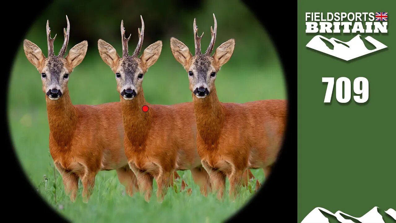 Fieldsports Britain – red dot roebuck triple