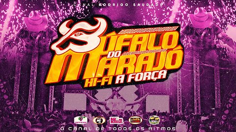 BUFALO DO MARAJÓ I MARCANTES I DJ DARLAN E RAFAEL CASSIANO