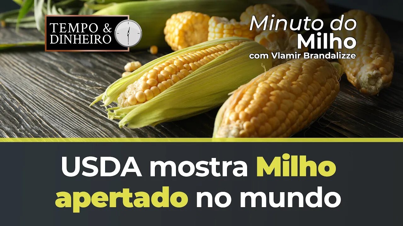 USDA mostra Milho apertado no mundo