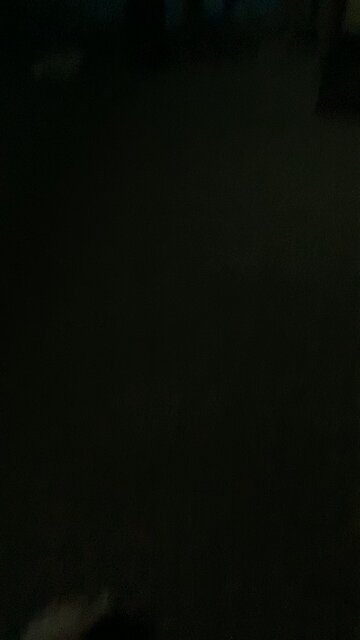 Nonsensical babbling 6