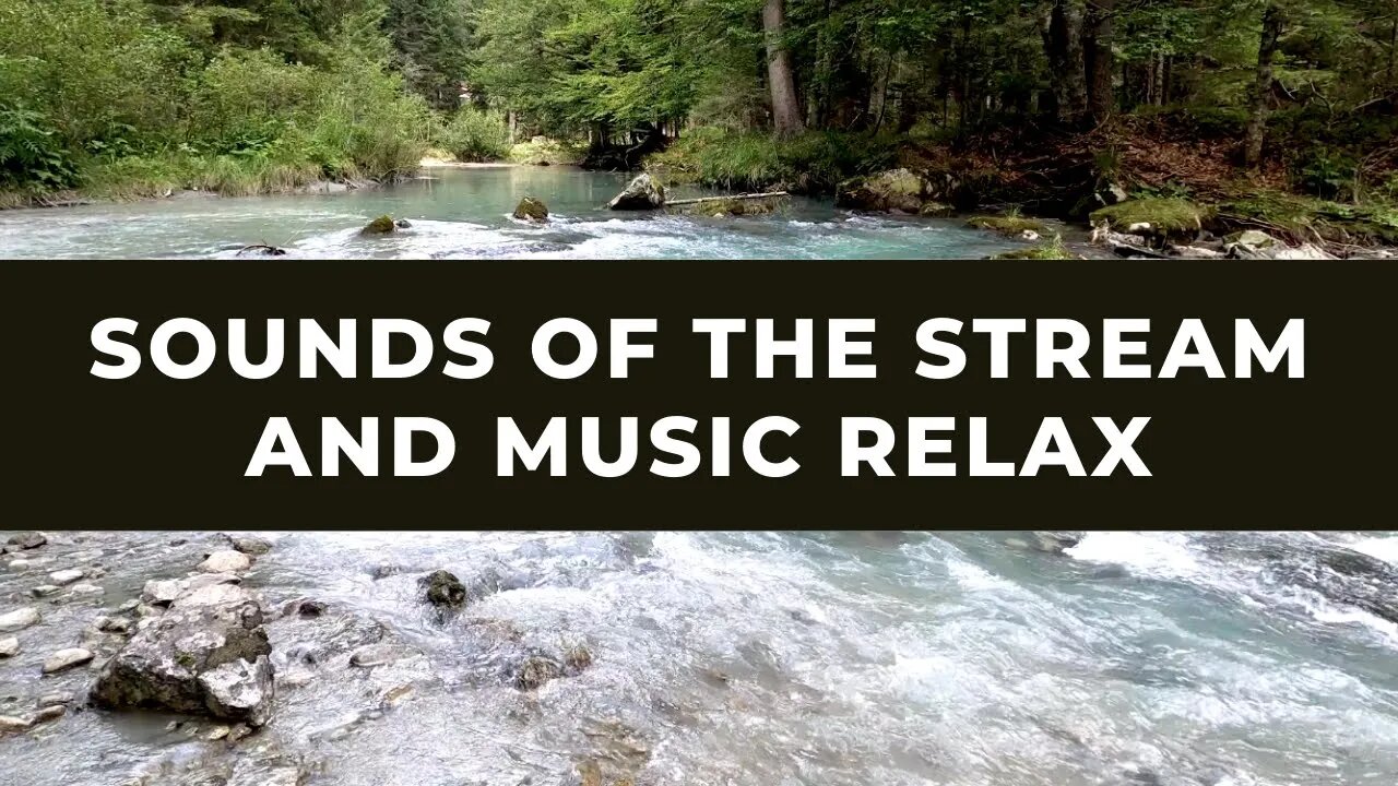 Sounds Of The Stream And Music Relax | Relaxing Zen Music with Water Sounds