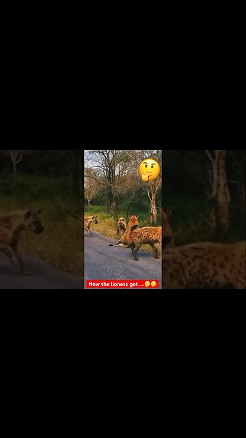 I have many questions but what is happening? 🤔 #shorts #subscribe #shortvideo #youtubeshorts