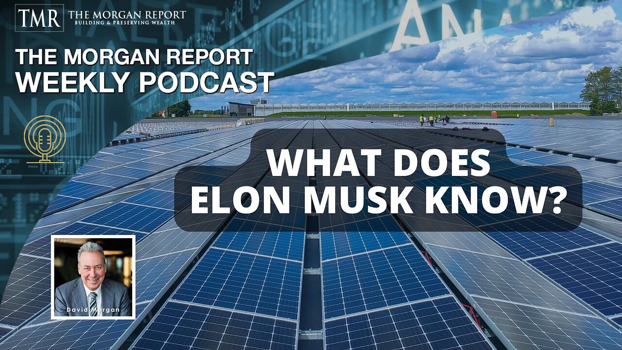 What Does Elon Musk Know?