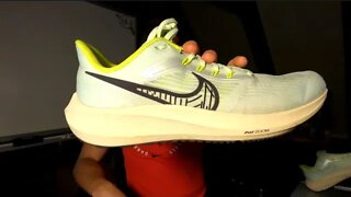 FINAL RUNTHROUGH: Nike Pegasus 39 Review (40 miles)