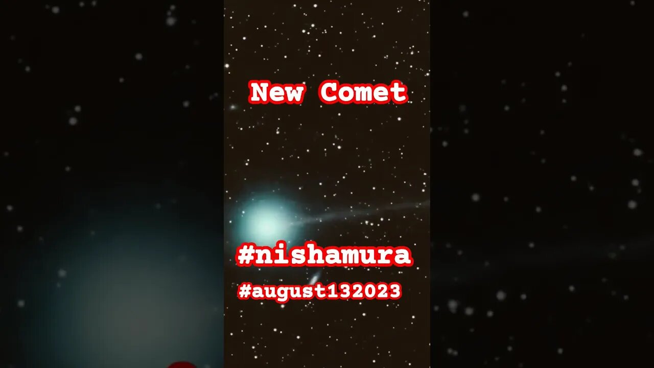 A New Comment Was Discovered On August 13#nishimura