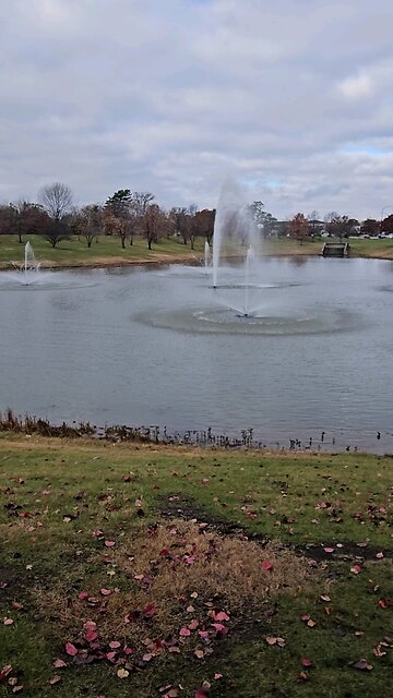 My Peaceful Place - Communism Makes Us More Stupid