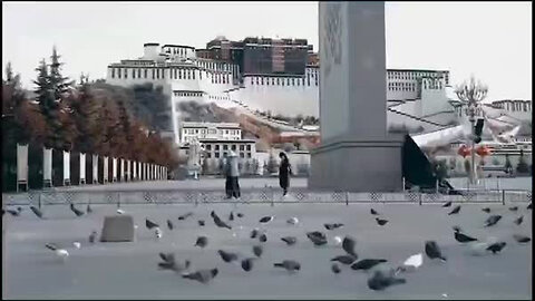 QQ视频20211220140742.mp4