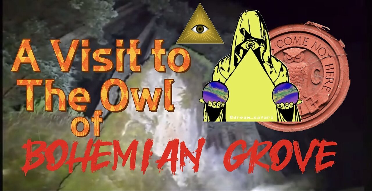 A Video of the owl at Bohemian