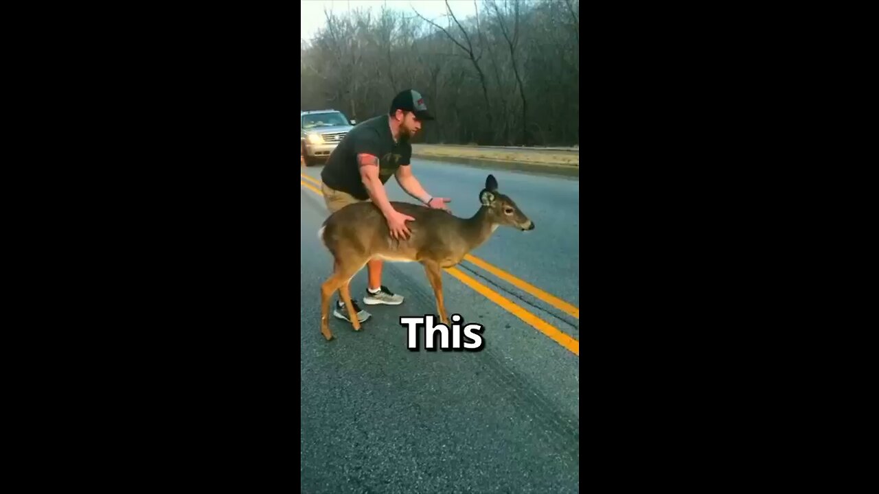 HE Saved This Scared DEER 😱 | Wholesome Moments