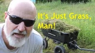 It's Just Grass, Man: An Alternative To Buying Hay