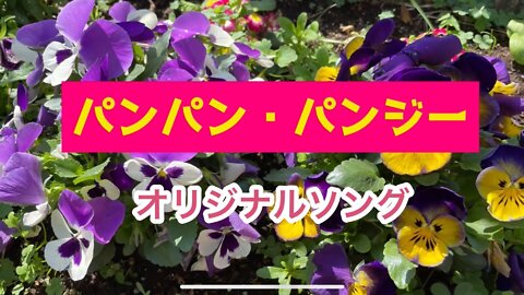 パンパン・パンジー