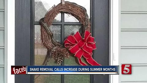 Snake Removal Calls Increase During Summer Months