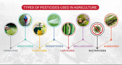 Atrazine - Poison - Harmful to Children - Endoctrin Disrupters