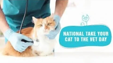 Lunchtime Chat-National Take Your Cat to the Vet Day& b-day shoutout.