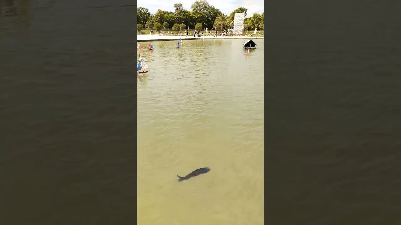 Luxembourg Park#fish #enjoy #kids#travel