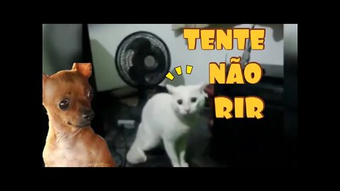 TENTE NAO RIR - PESSOA QUE GOSTA DE BOTAR MEDO