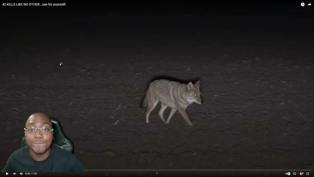 THE GUYS ARE QUICK SCOPING COYOTES