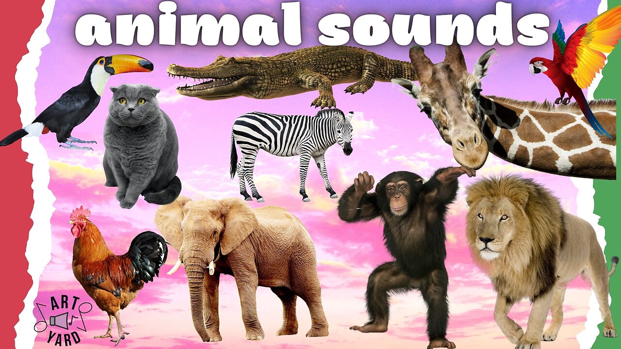 Animal sounds around us, sounds and videos