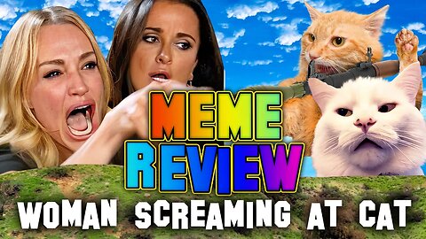 Woman Yelling At A Cat | Meme Review