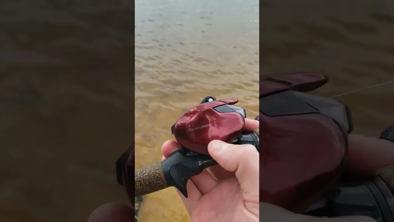 Baitcast Reel Setup - Centrifugal Brakes