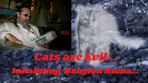 The Gulf Wars: 9 Lives/Demon Carrying "Cat's" Are Evil Guarding The Gates...