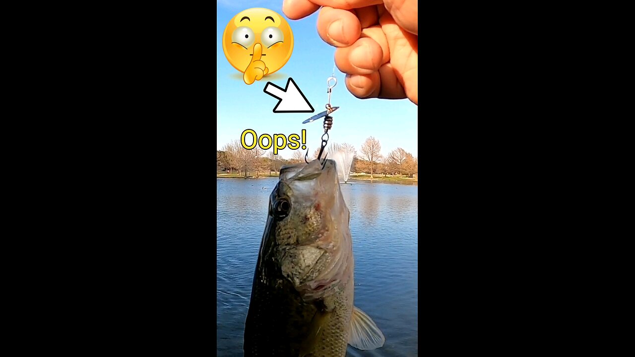 Ultralight Baitcasting With a Backward Bladed Inline Spinner!