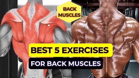 BEST 5 EXERCISES TO PREPARE THE BACK MUSCLES FOR AMPLIFICATION