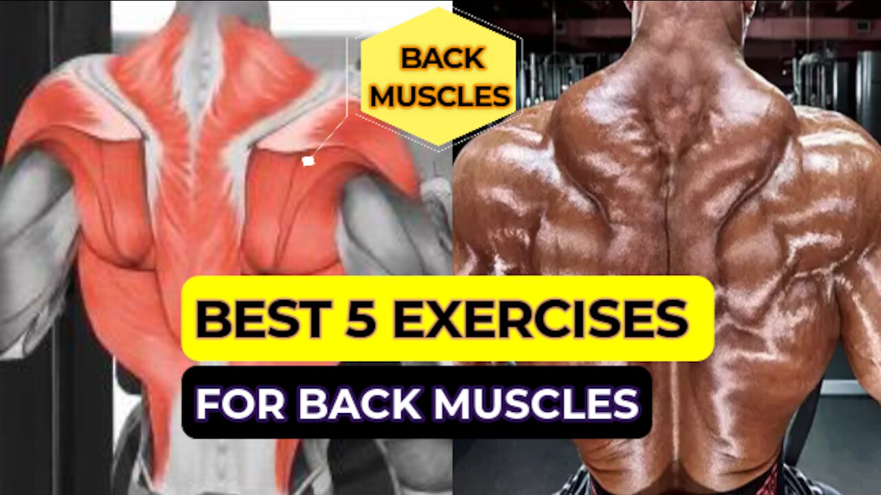 BEST 5 EXERCISES TO PREPARE THE BACK MUSCLES FOR AMPLIFICATION