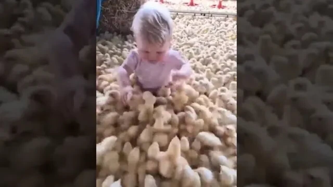 nice kid reactions