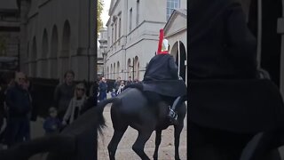 Horse looses it guard bring the Horse under control #horseguardsparade