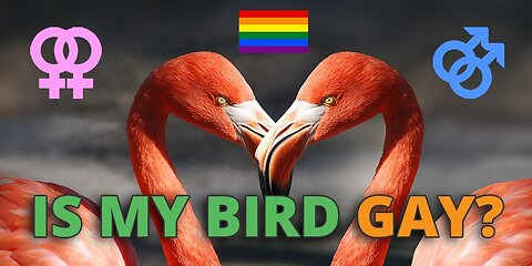 Mercury in the Water Turning the Birds Gay, but Mercury in Vaccine has NO Effect?