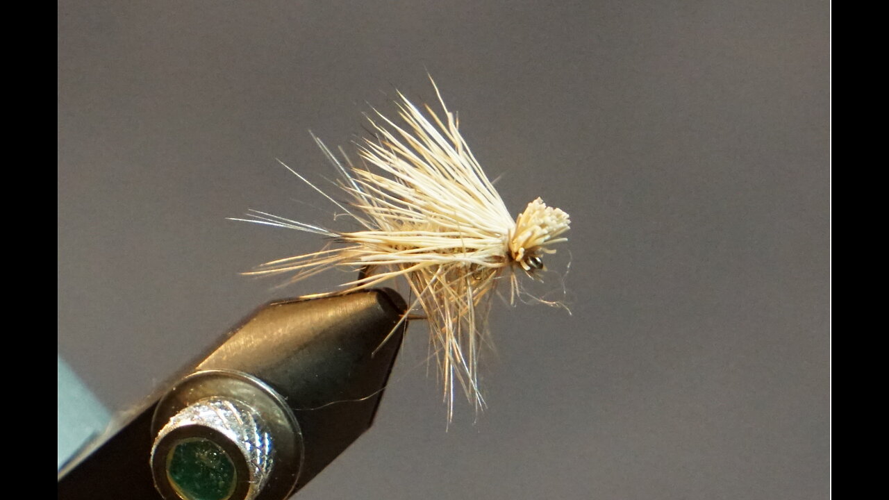 Elk Hair Caddis