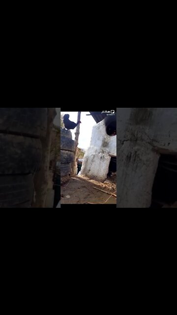 الاله الله سبحانك ههههه