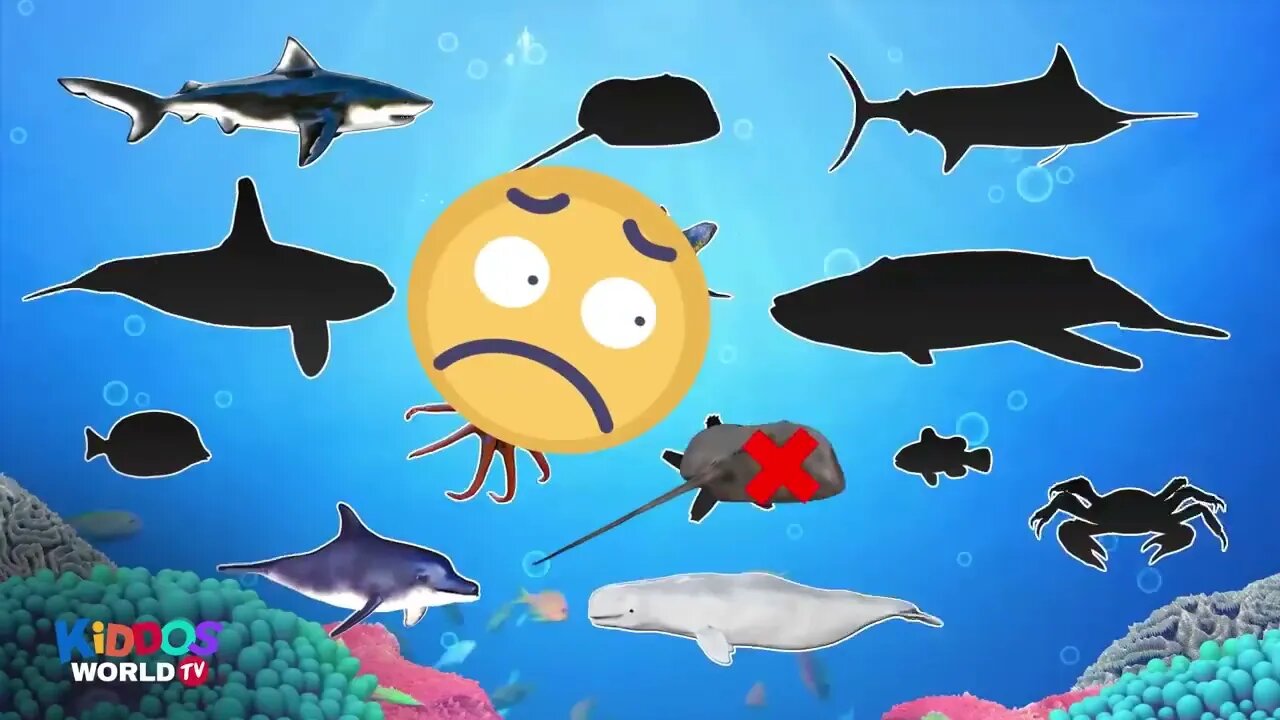 Learn Sea Animal Names - Ocean Animal Videos -#kids #music #poem