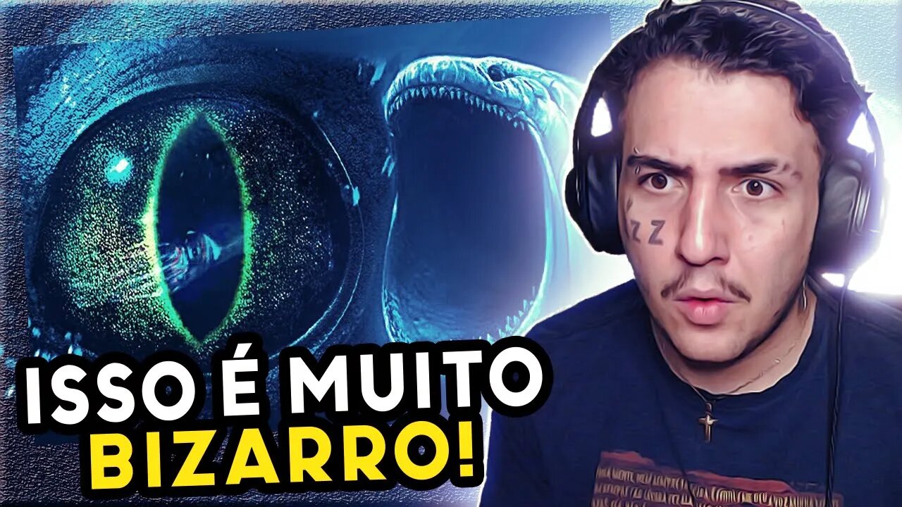 O Barulho Misterioso no Fundo do Mar ("Bloop") | VIRAL QUEST VQ | MURIEL REACT