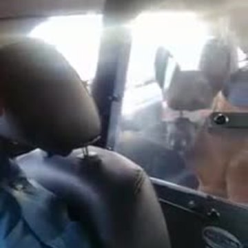 Police: Dog on highway didn't want to leave dead dog's side