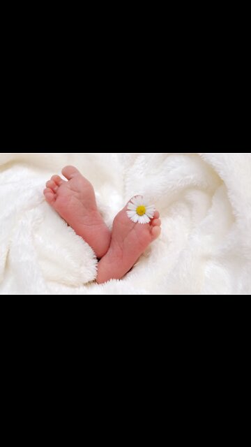 Baby Walker Reviews: Os melhores sistemas de apoio ao bebê para aprender