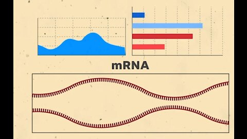 mRNA 疫苗原理