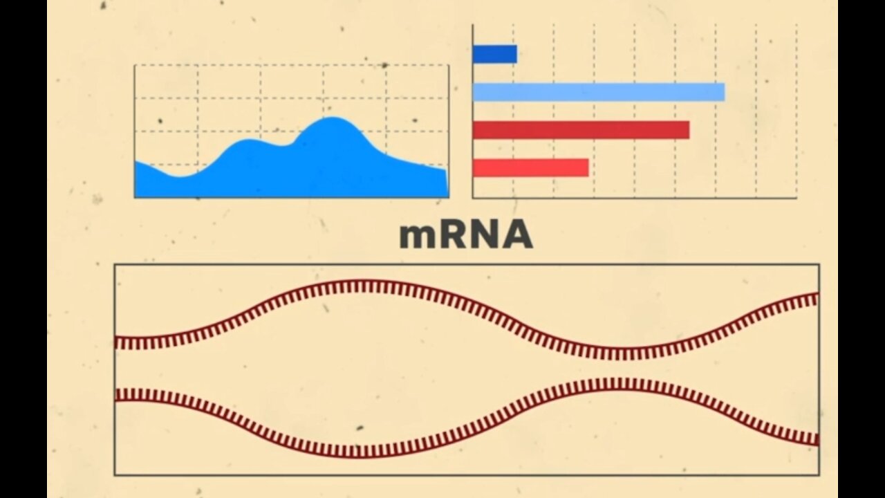 mRNA 疫苗原理