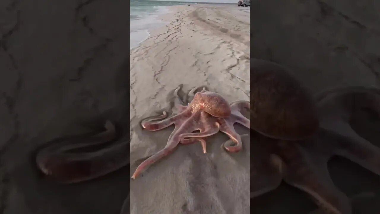 Nature Is Magic